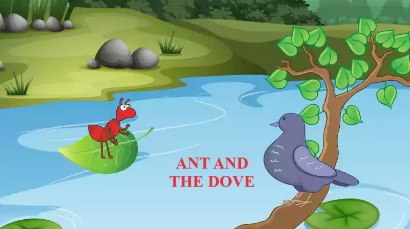 Unseen passage for Class 1 - Ant and the dove
