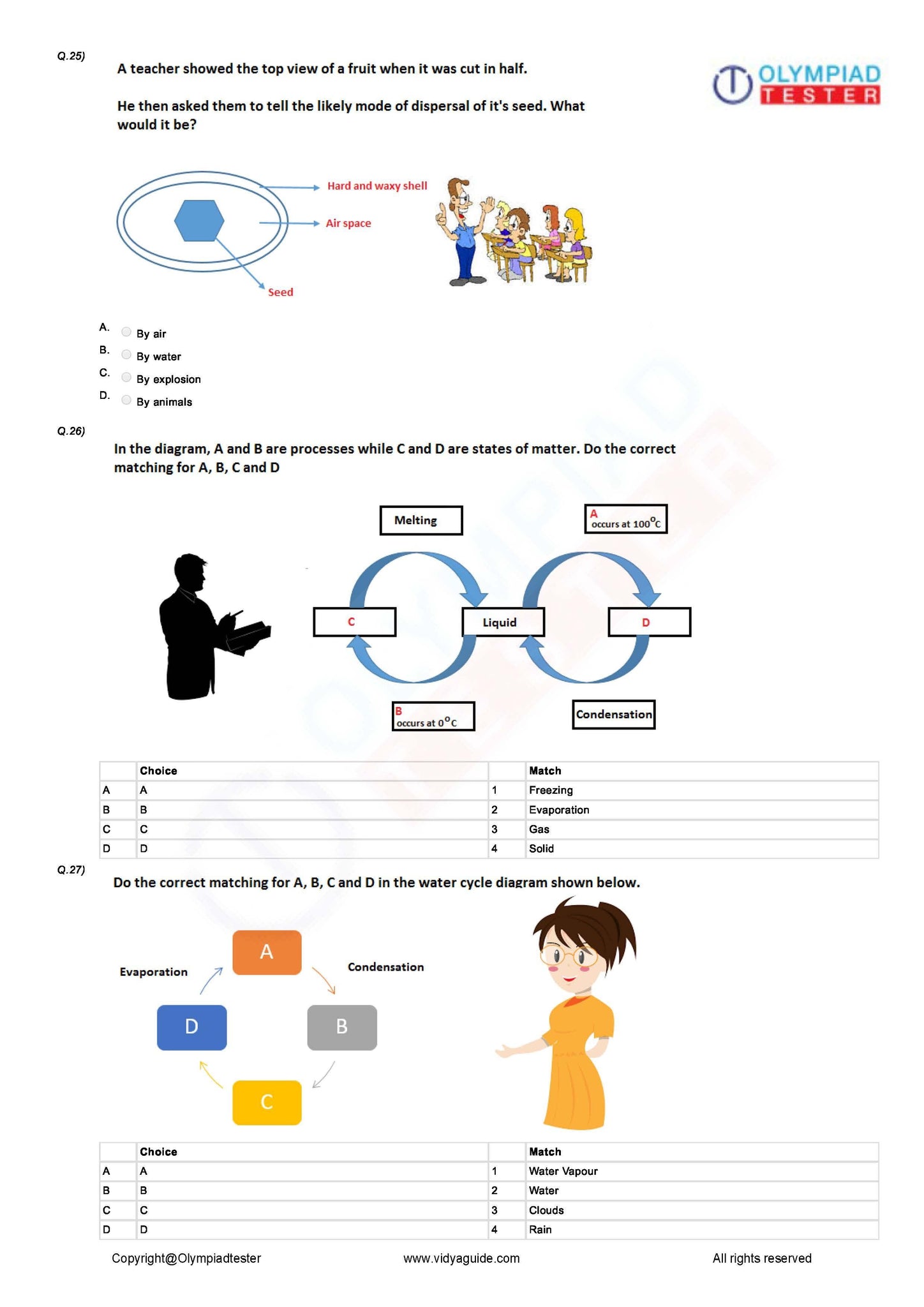 holiday assignment for class 5 science