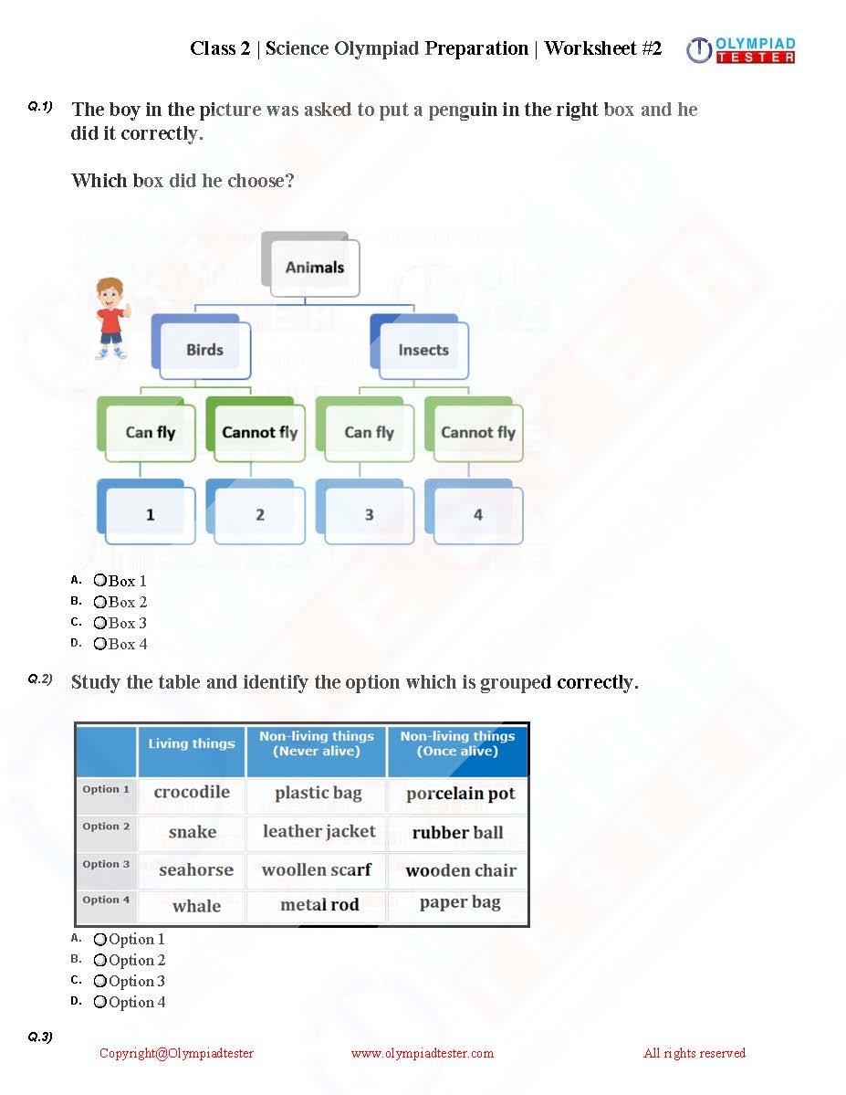 english-olympiad-worksheets-for-class-2-cbse-class-2-english-practice-worksheet-set-j-practice