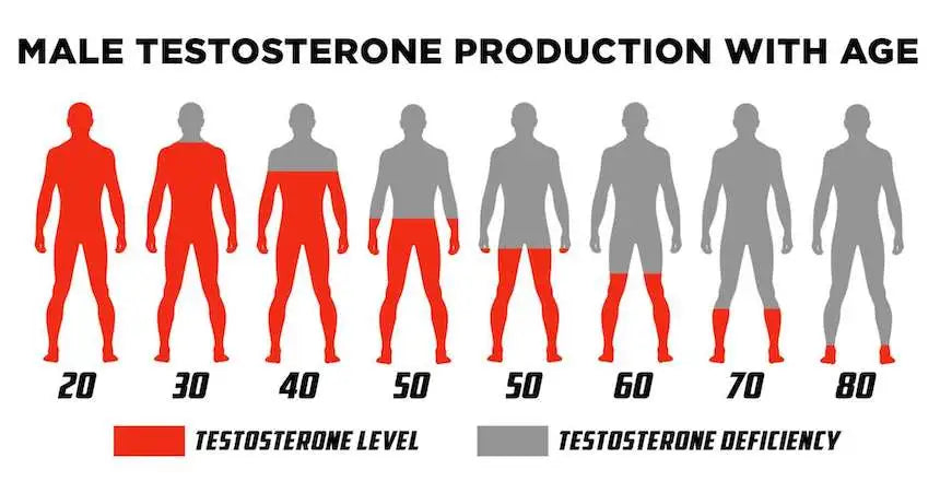male testosterone production with age