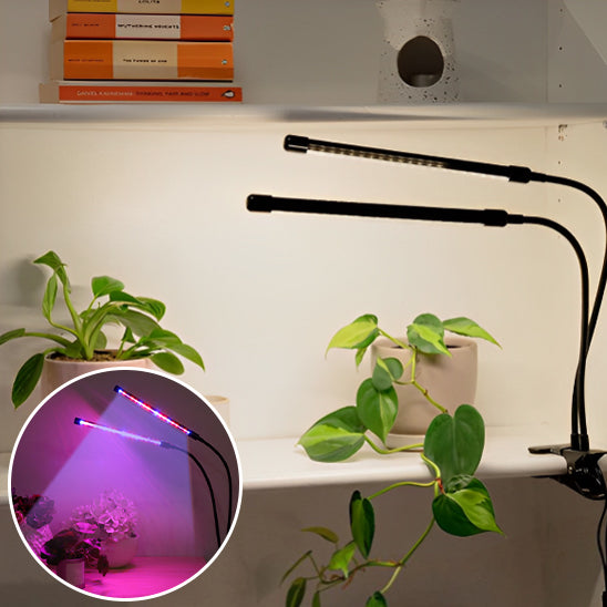 lampe-horticole-led-hoya-lumineux