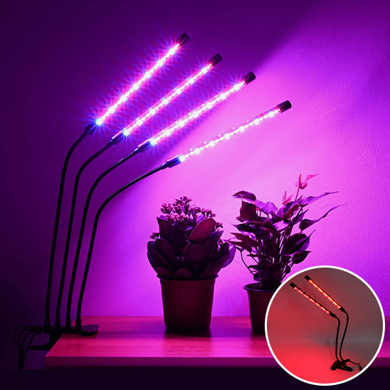 lampe-horticole-led-hoya-rouge