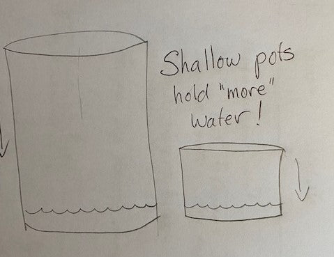 shallow pots hold proportionately more water- thank you gravity!