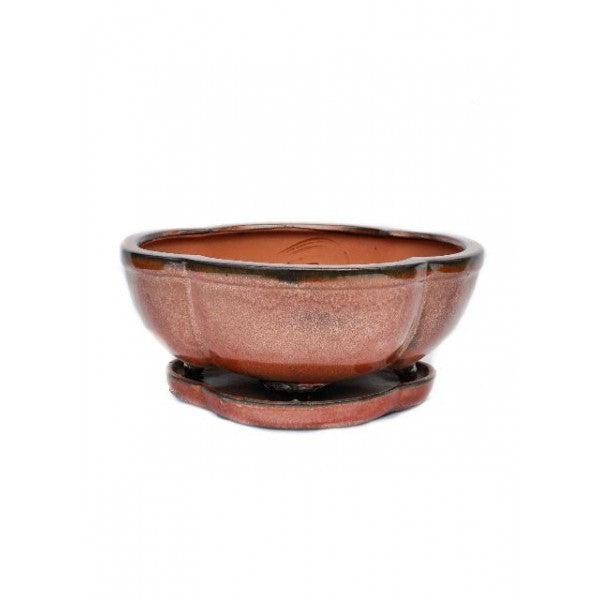 Glazed Ceramic  Bonsai  Pot  8 Zen Garden and Bonsai 