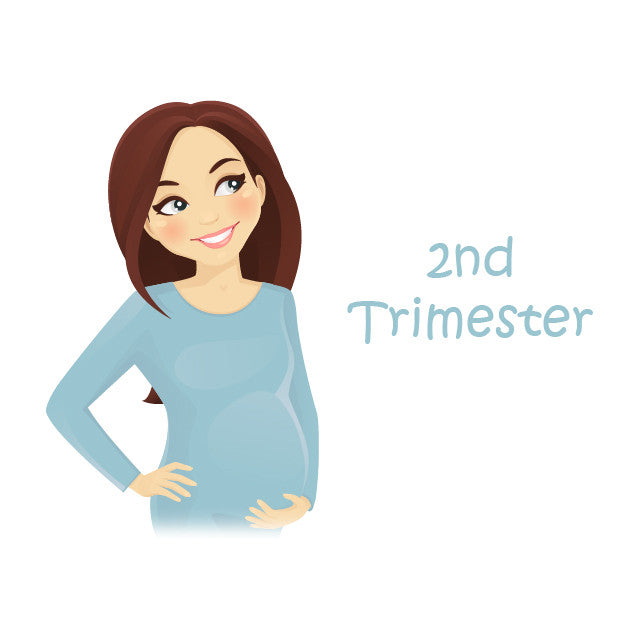 Of second pregnancy trimester Sleeping While
