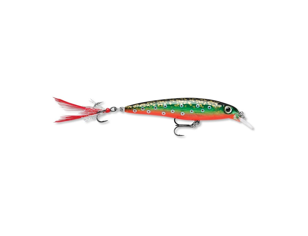 Rapala X-Rap Deep (Silver)