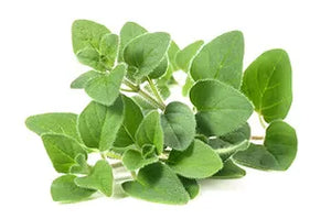 Oregano Whole Greek Premium Olive Oil - The Bronze Olive