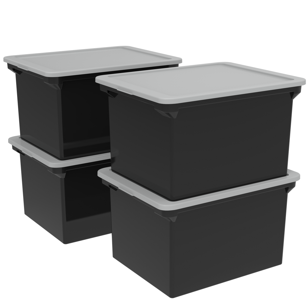 Economy File Storage Boxes with Lid, 24 x 12 x 10 for $7.35 Online in  Canada