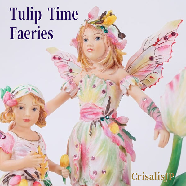 Tulip Time Faeries