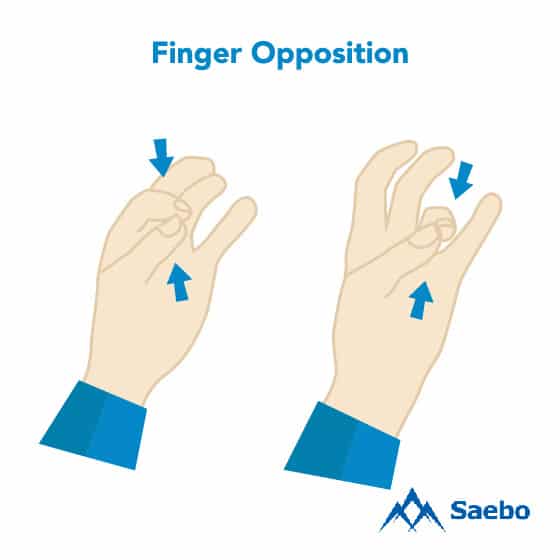 Exercise #25: Finger Opposition Exercises for Stroke Recovery Survivors & Patients at Home