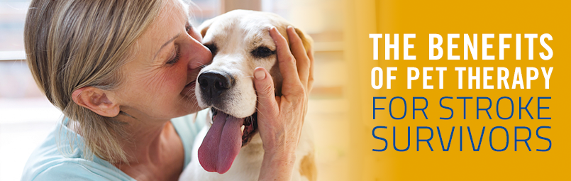 Benefits of Pet Therapy for Stroke Survivors