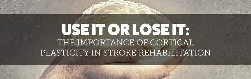 the-importance-of-cortical-plasticity-in-stroke-rehabilitation-blog