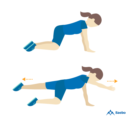 intermediate_four_point_kneeling