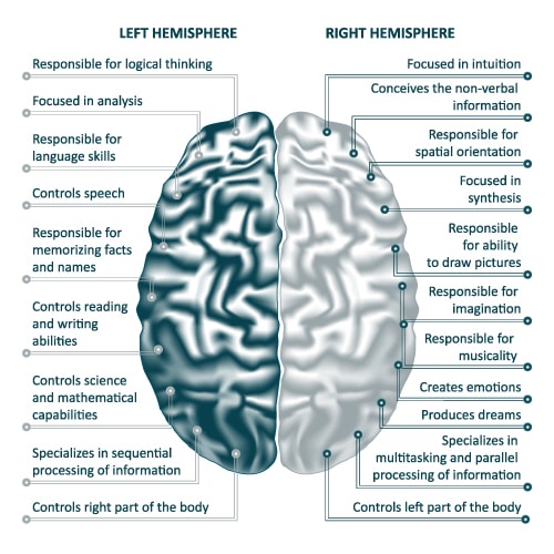 left-right-brain