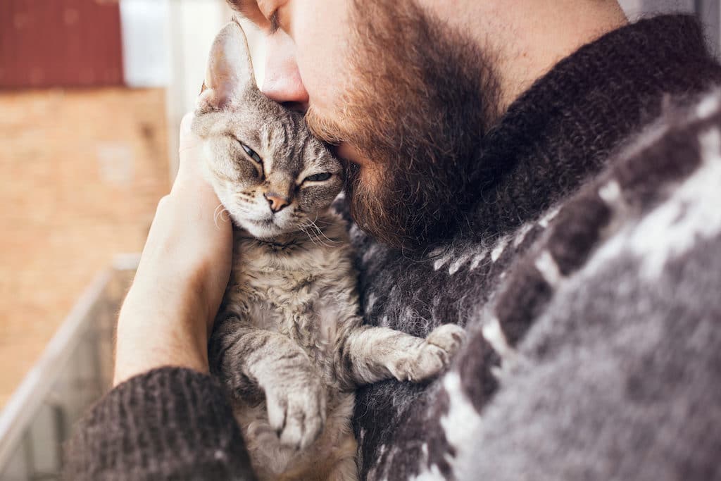 Pet Therapy for Stroke