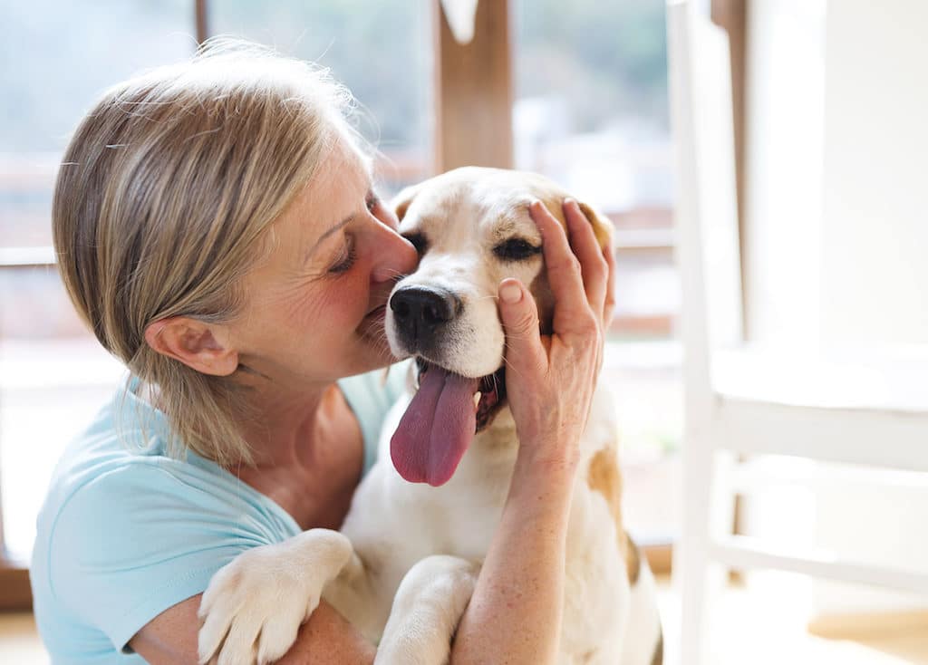 Stroke Therapy With Pets