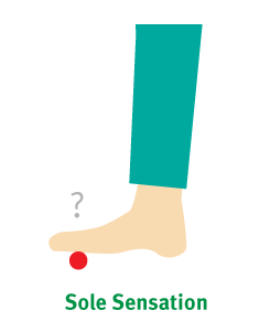 sole-sensation