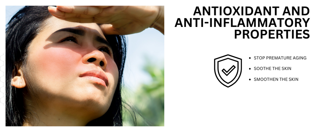 Antioxidant and Anti-inflammatory Properties