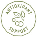 Antioxidant Action 