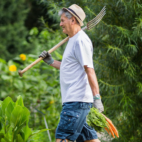 Relaxed man walking with carrots