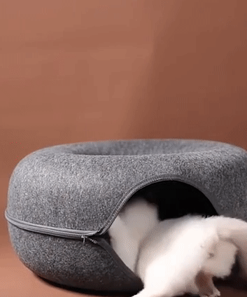 Donut Cat Bed GIF Ad