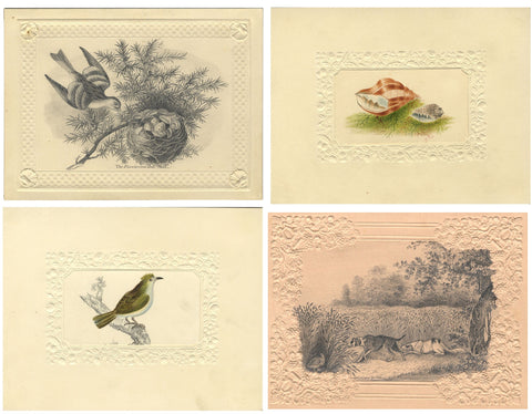 Album Works on Embossed Paper 1820s