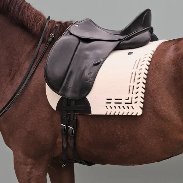 Pure virgin wool felt – The characteristics of pure virgin wool are also found in the felts of our saddle pads.