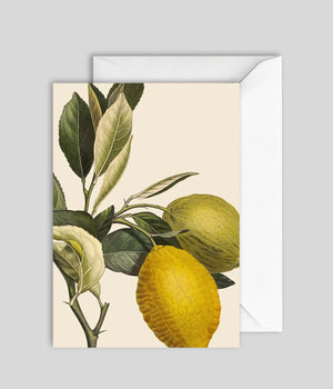 Vintage Lemons Greeting Card - Sterling Place