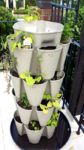 a vertical planter growing multiple plants