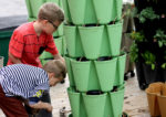two young boys planting seeds in a vertical planter