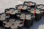 8 vertical planter bases with fresh soil