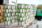 many vertical planters growing towers of spinach