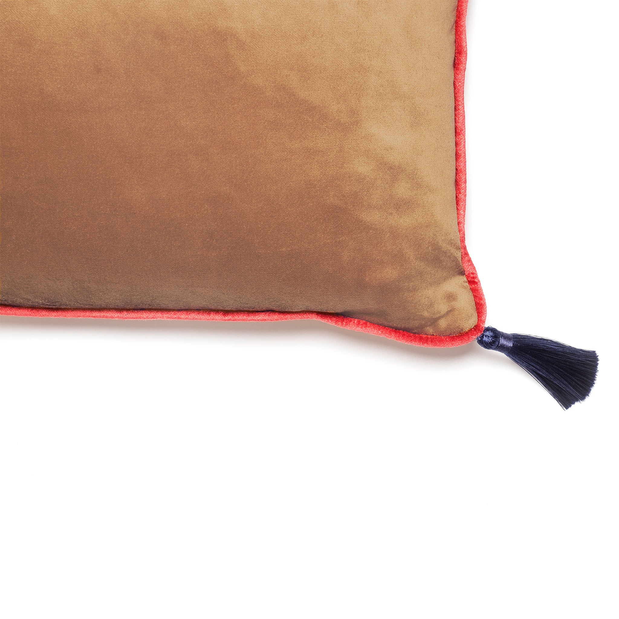 Bronze Velvet Rectangular Cushion with Tassels