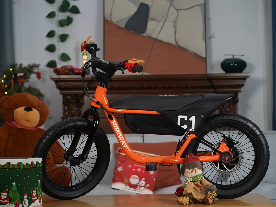 Kids Electric Bike C1