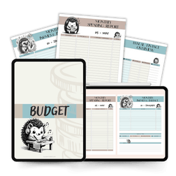 Budget.png__PID:d6c16f5f-dd52-47c7-a08f-df991993e764