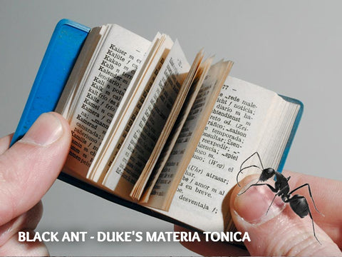 Black Ant - Duke's Materia Tonica