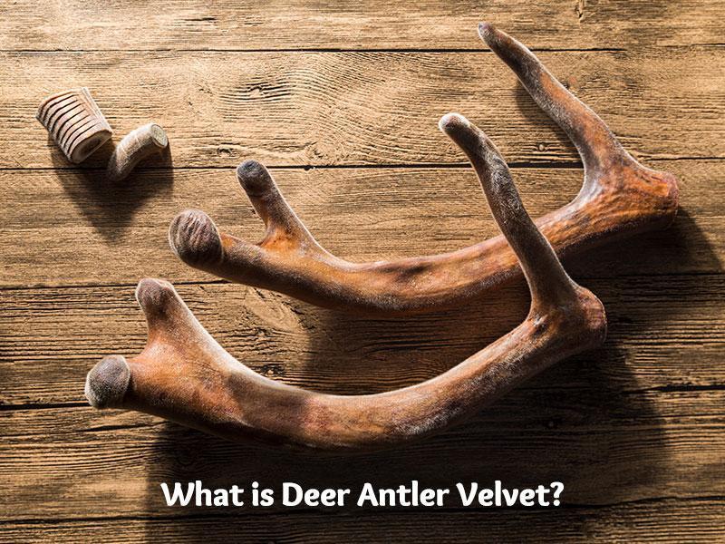 things to make with deer antlers