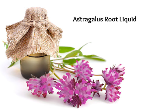 Astragalus Root Liquid