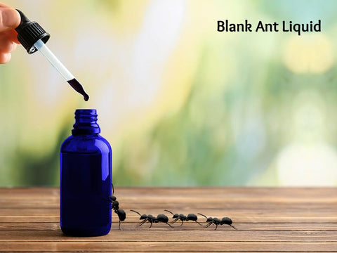 Black Ant Liquid