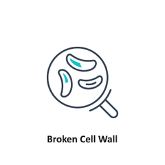 Broken Cell Wall