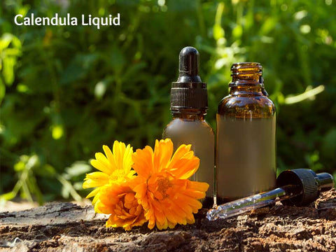 Calendula Liquid