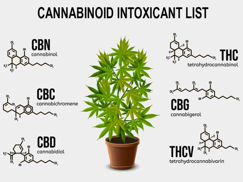 Cannabinoid Intoxicant List