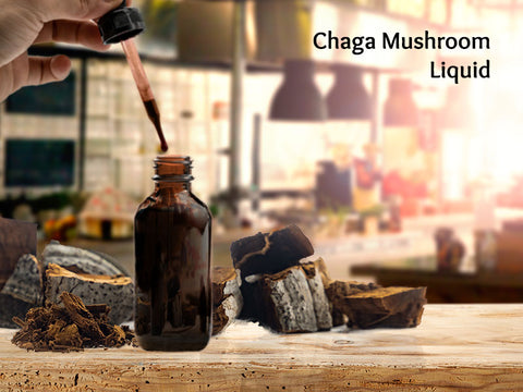 Chaga Mushroom Liquid