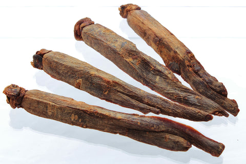 Panax Red Ginseng Roots