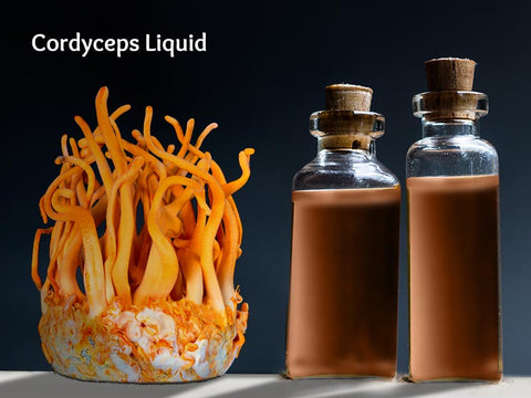 Cordyceps Liquid