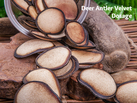 Deer Antler Velvet Dosage