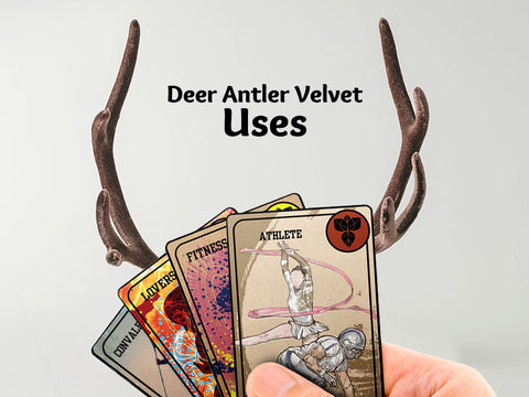 Deer Antler Velvet Uses