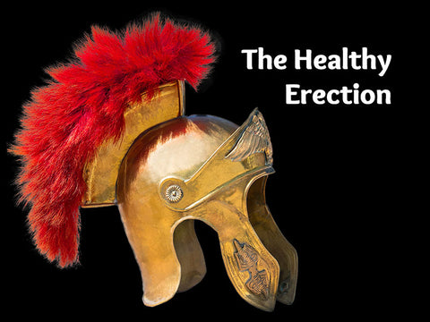 The Healthy Erection