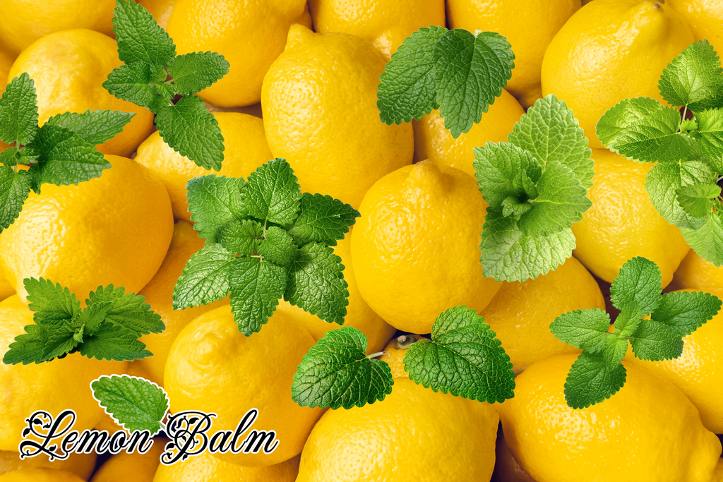 Lemon Balm Supplement Poster