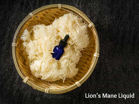 Lion's Mane Liquid